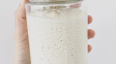 Queijo vegano de castanhas fermentado
