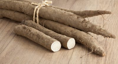 10 receitas com bardana para saborear um prato oriental bem diferente