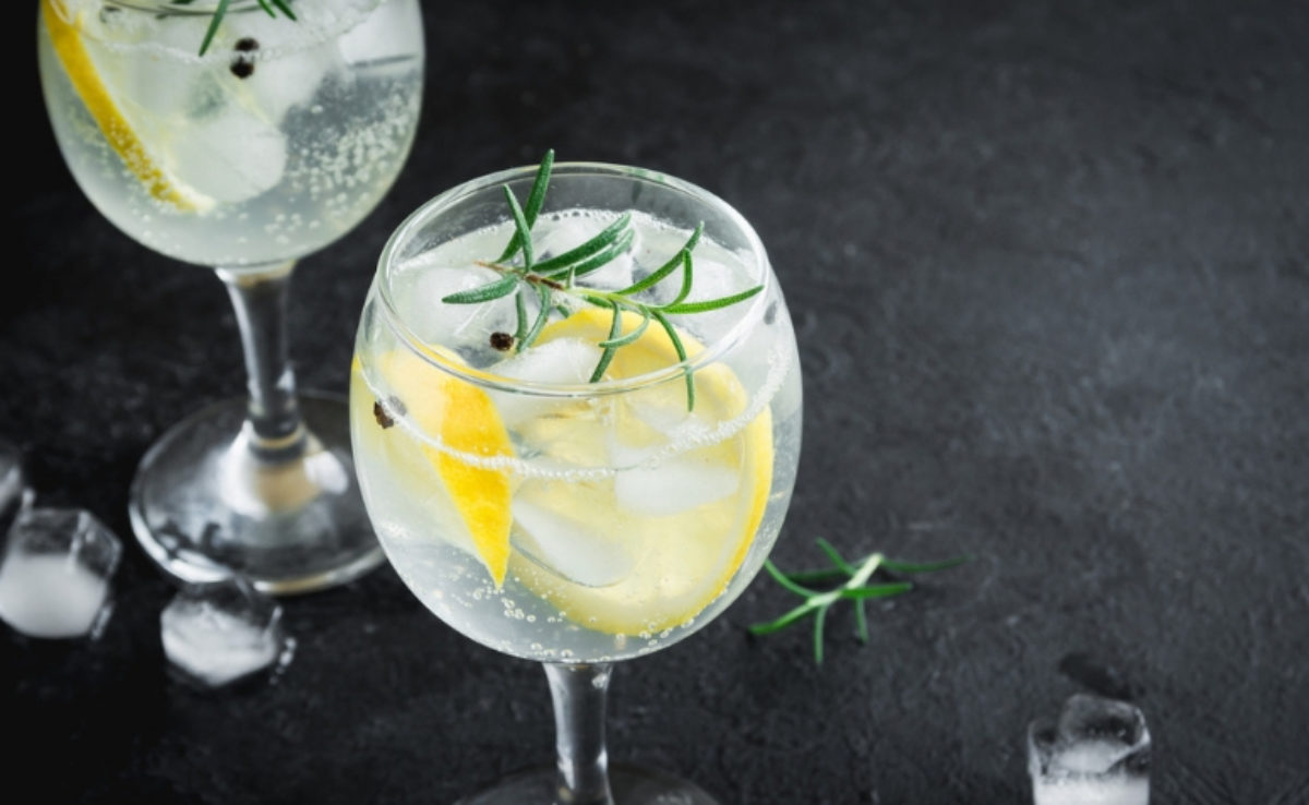 15 receitas de gin tônica com sabor aromático e surpreendente