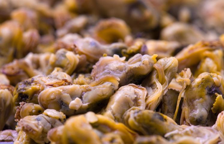 8 Receitas De Sururu Que Vao Fazer Voce Se Sentir Nas Praias Do Nordeste 8 Receitas De Sururu Que Vao Fazer Voce Se Sentir Nas Praias Do Nordeste