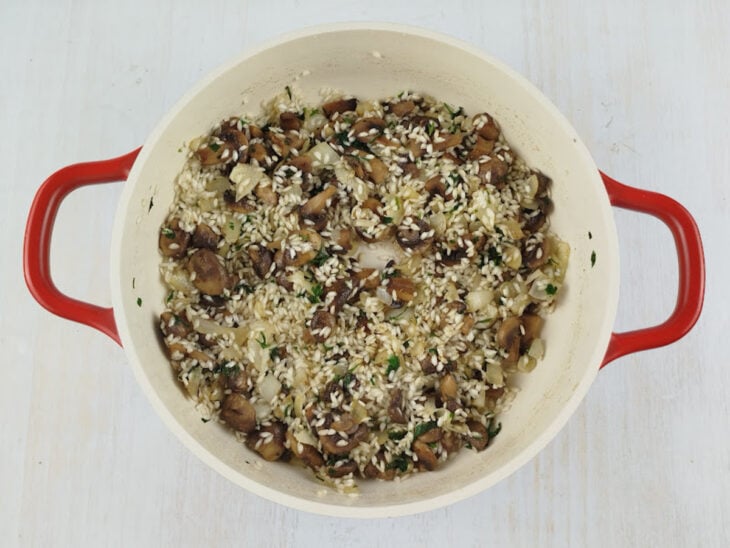 Arroz arbóreo sendo incorporado aos cogumelos e temperado com sal e pimenta-do-reino.