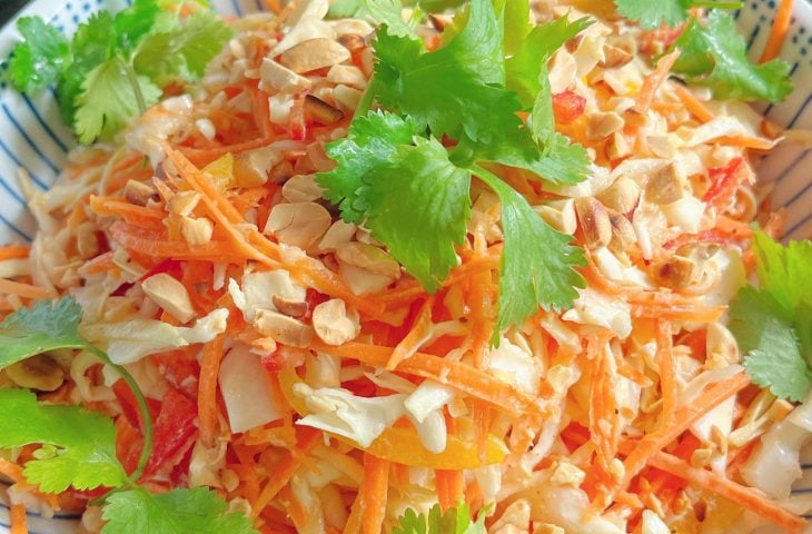 Salada de repolho com molho thai de amendoim