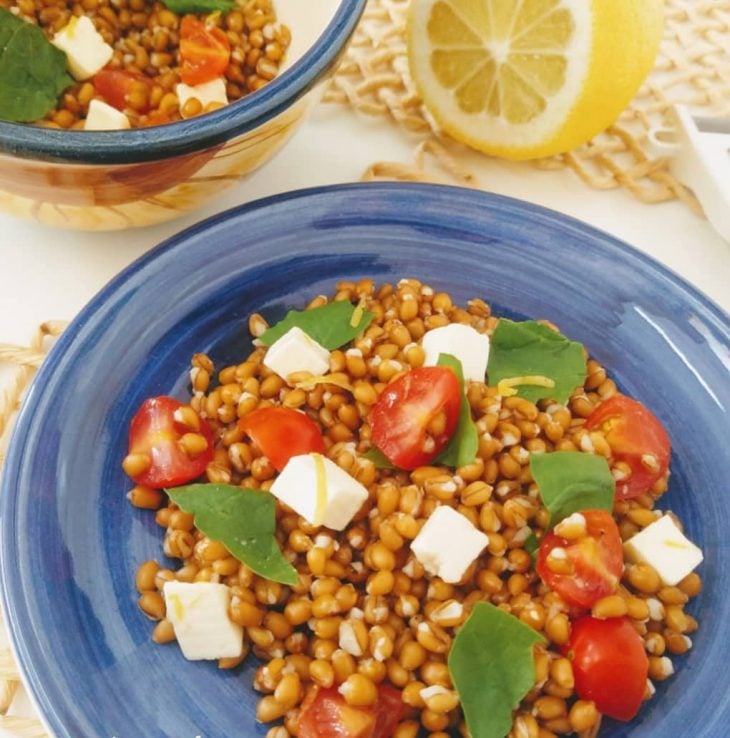 Salada de trigo em grãos