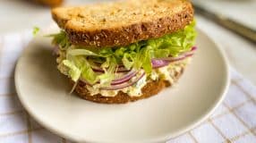 Sanduíche natural fit