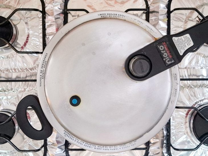 panela de pressão tampada e pronta para ir ao fogo .