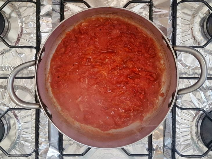 Molho de tomate e sal adicionados na panela.