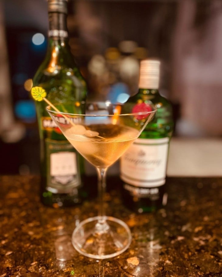 The gibson cocktail