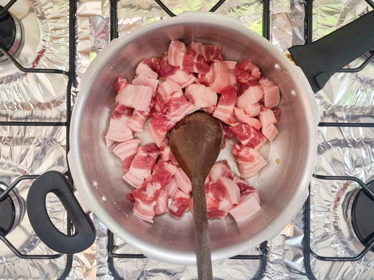 Carne adicionada a panela de pressão com óleo.