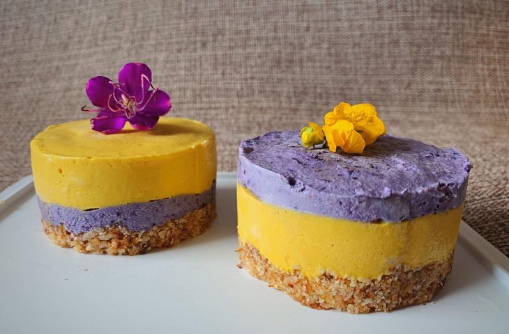 Torta crudívora de manga e mirtilo